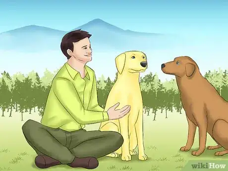 Image titled Train Teenager Stage Dogs Step 17