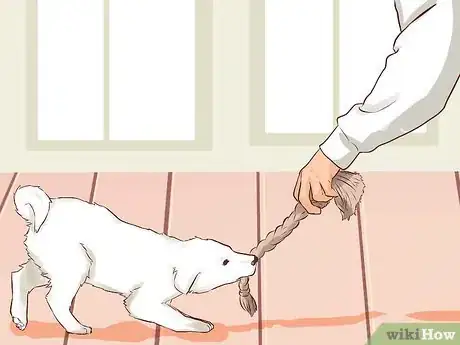 Image titled Train a Puppy Not to Bite Step 3