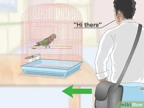 Image titled Teach a Hawk‐Headed Parrot to Speak Step 1