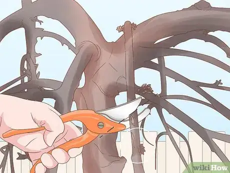 Image titled Trim Weeping Cherry Step 3