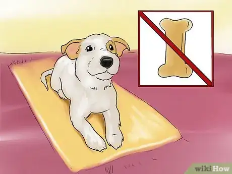 Image titled Teach a Small Dog to Lie Down on Command Step 4