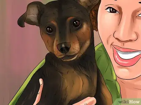 Image titled Introduce a New Dog in a Not Neutral Area Step 7