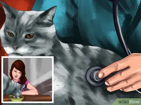 Image titled Responsibly Give a Cat As a Gift Step 3