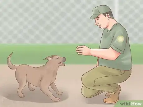 Image titled Choose a Training Program for Your Dog Step 15