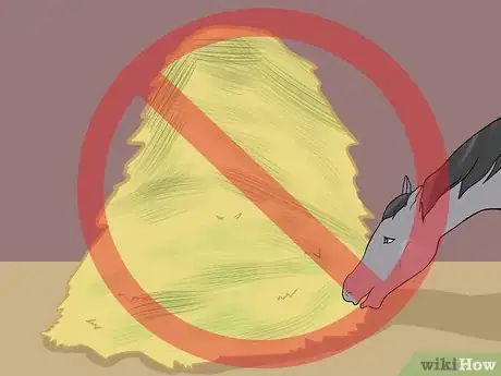 Image titled Take Care of a Horse in Hot Weather Step 5