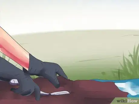 Image titled Catch Beavers Step 17