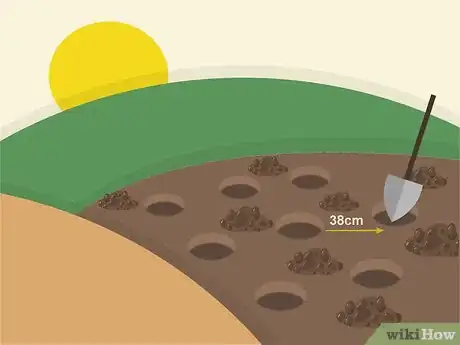 Image titled Plant Arugula Step 14