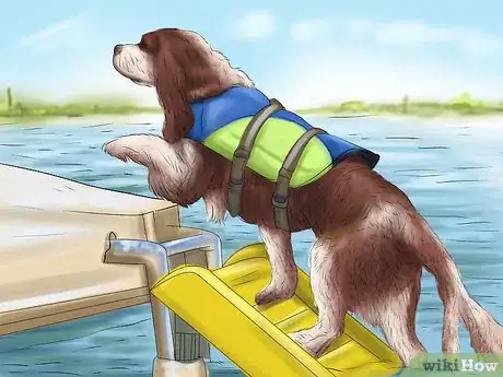 Image titled Keep Your Dog Safe on a Boat Ride Step 9