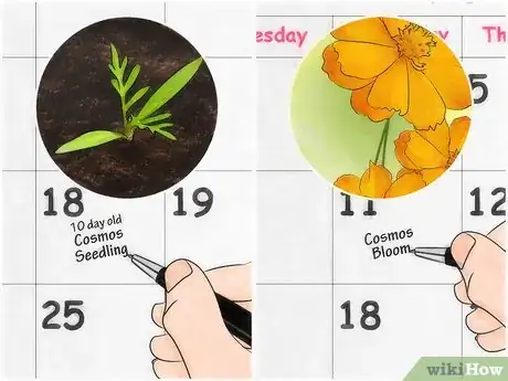 Image titled Attract Butterflies Step 4