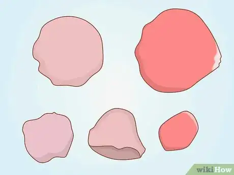 Image titled Draw a Rose Petal Step 5
