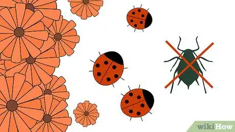 Image titled Grow a Tomato Plant Step 23