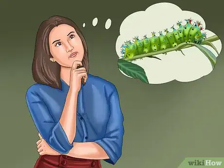 Image titled Keep Caterpillars Out of the Garden Step 1