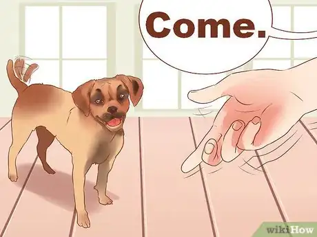 Image titled Train Puggles Step 14