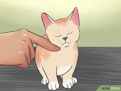 Image titled Earn a Kitten's Trust Step 6