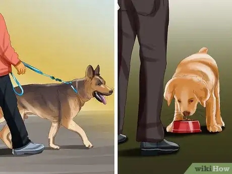 Image titled Introduce a Puppy to a Dog Step 22