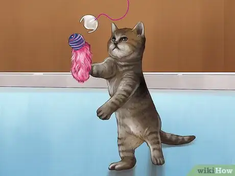 Image titled Teach a Kitten to Play Nice Step 2