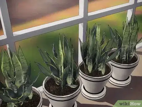 Image titled Overwinter Tropical Plants Step 4