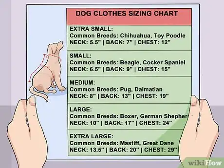 Image titled Dress Your Dog Step 4