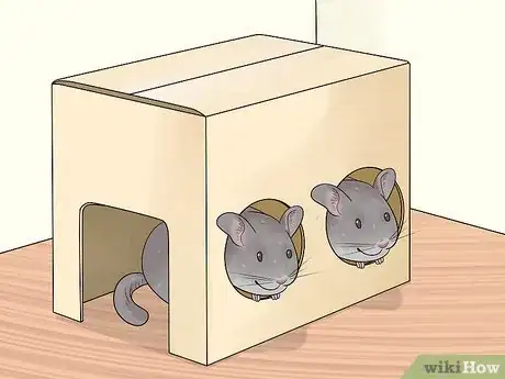 Image titled Keep Chinchillas Safe from other Pets Step 3