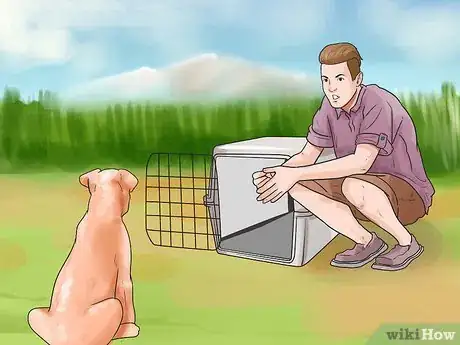 Image titled Train a Boxer Dog Step 11