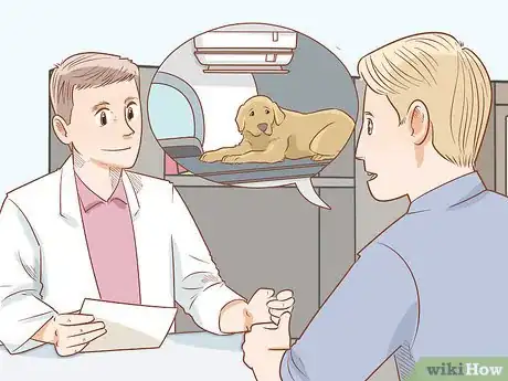 Image titled Treat Endocrine Disorders in Older Dogs Step 10