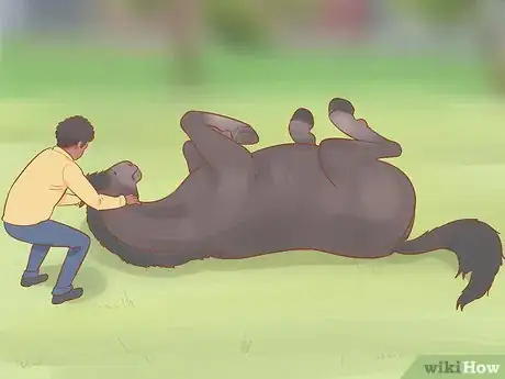 Image titled Uncast a Horse Step 4