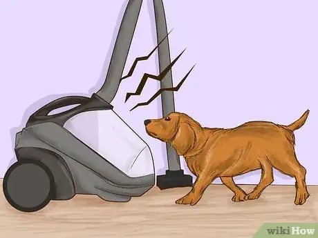 Image titled Teach Your Pet Not to be Scared of the Vacuum Cleaner Step 8