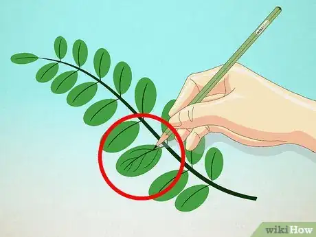 Image titled Draw Leaves Step 7