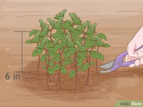 Image titled Grow an Herb Garden Step 14