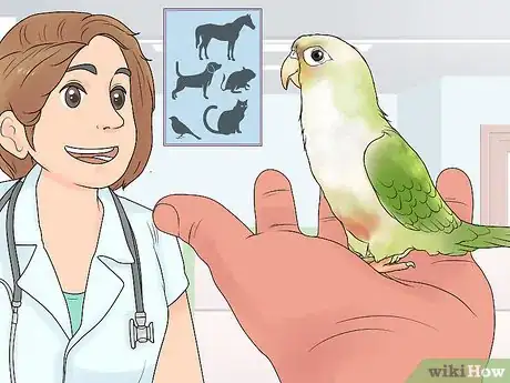 Image titled Treat Chlamydiosis in Conures Step 1