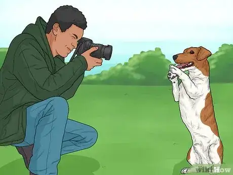 Image titled Hang Out with Your Dog Step 6