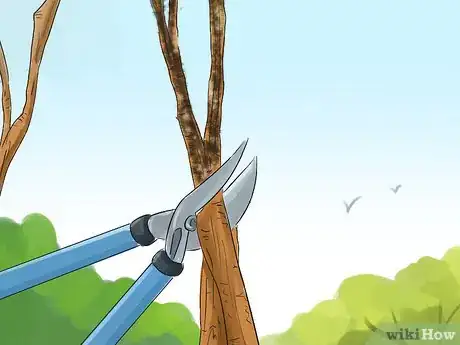 Image titled Prune a Magnolia Tree Step 1