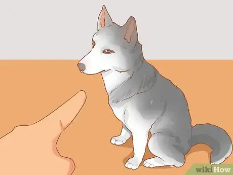 Image titled Train a Rescue Dog Step 8