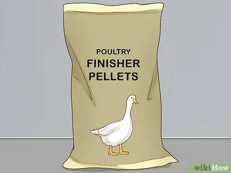 Image titled Keep Geese Step 12