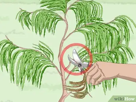 Image titled Prepare Your Garden for the Fall Step 4