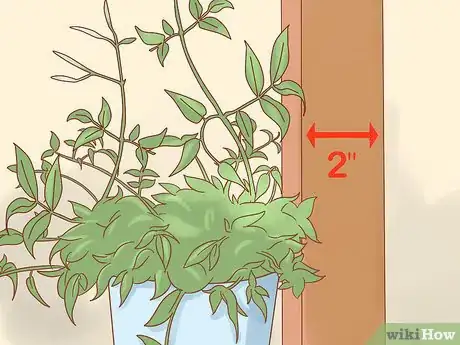 Image titled Prune Jasmine Step 14