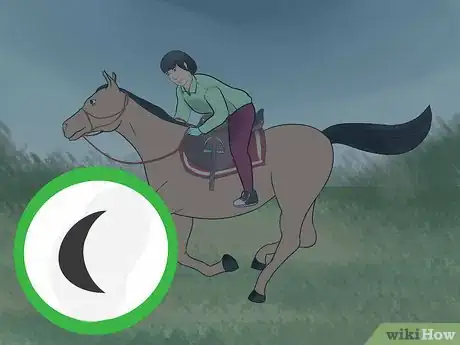 Image titled Take Care of a Horse in Hot Weather Step 6