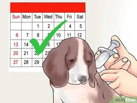 Image titled Protect Pets from Urban Dangers Step 10