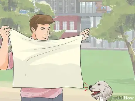 Image titled Introduce a New Puppy Step 8