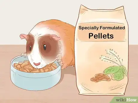 Image titled Care for a Crested Guinea Pig Step 10