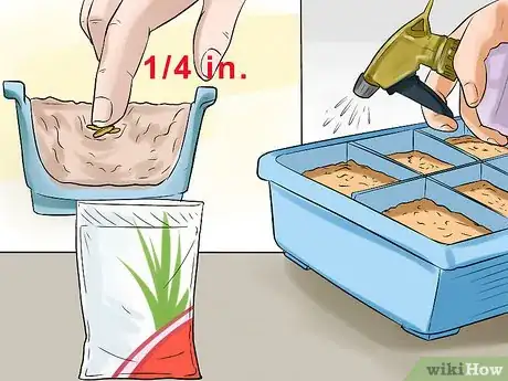 Image titled Cultivate Lemongrass Step 2