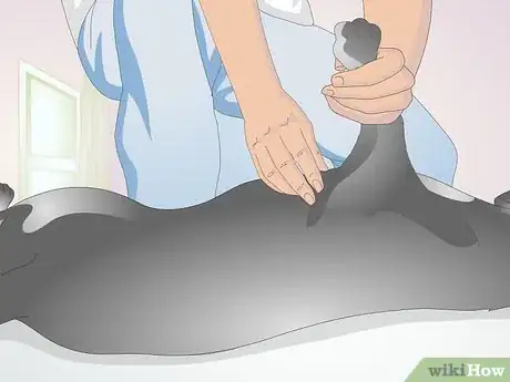 Image titled Perform CPR on a Dog Step 3