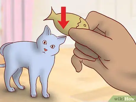 Image titled Get an Overweight Senior Cat to Lose Weight Step 4