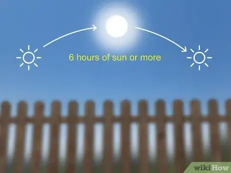 Image titled Grow Moss Rose Step 2