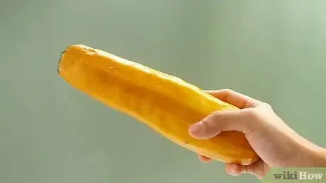 Image titled Store Yellow Squash Step 1