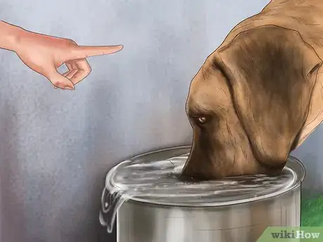 Image titled Treat Bloat in Great Danes Step 10