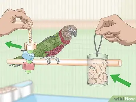 Image titled House a Hawk‐Headed Parrot Step 9