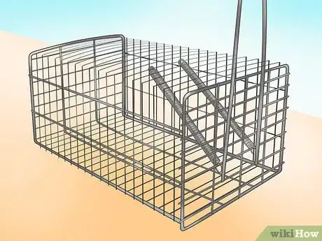 Image titled Catch a Rodent in Your House Step 13