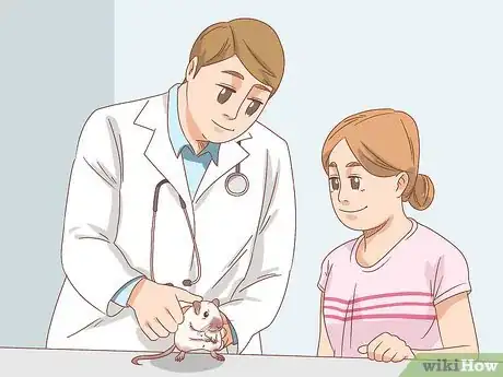 Image titled Diagnose Heart Failure in Gerbils Step 7