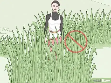 Image titled Make and Use Natural Tick Repellents Step 10